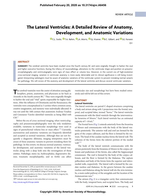 The Lateral Ventricles: A Detailed Review of Anatomy, 